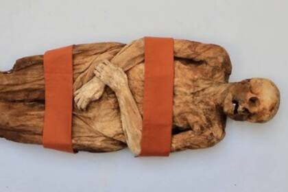 En 1975 se descubrió el cuerpo momificado de Anna Catharina Bischoff (1719-1787) dentro de la iglesia de Barfüsser, Basilea.