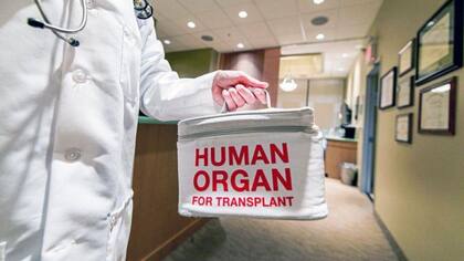 En 2006, la nueva Ley de Tejidos Humanos, en Reino Unido, estableció que se permitía la donación altruista de riñón