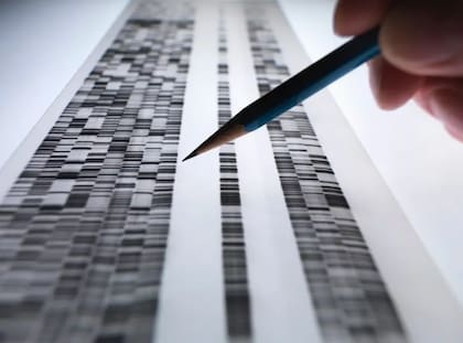 En 2007, los investigadores del Scripps Research lanzaron el estudio que llamaron Wellderly para descubrir "los secretos genéticos" del envejecimiento saludable. (Foto genérica)