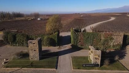 En 2010, Julio Camsen plantó la primera semilla del viñedo, que dio lugar a la bodega Huentala Wines, desde la que hoy elabora vinos de alta gama premiados internacionalmente