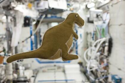 En 2013, la astronauta Karen Nyberg (que está casada con Hurley) cosió un dinosaurio de juguete para su hijo Jack mientras estaba en la EEI.