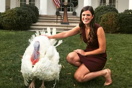 En 2016 Madeleine fue asistente de la jefa de gabinete del Comité Nacional Republicano, Katie Walsh