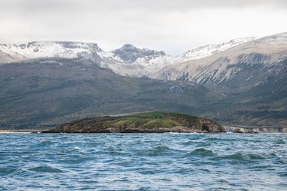 En 2018 se instaló con fuerza el posible establecimiento de salmoneras en el Beagle. La ley de prohibición de cría en Tierra del Fuego ubica a la Argentina entre los países pioneros en una decisión de gran impacto para el ambiente.