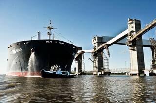 Coronavirus. Los 7 cambios que habrá para el comercio del agro tras la pandemia