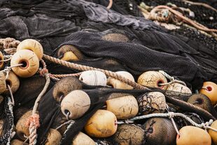 En 2022 Bureo y Patagonia evitaron que un total de 334 toneladas métricas de redes de pesca desechadas terminaran como basura en el océano.