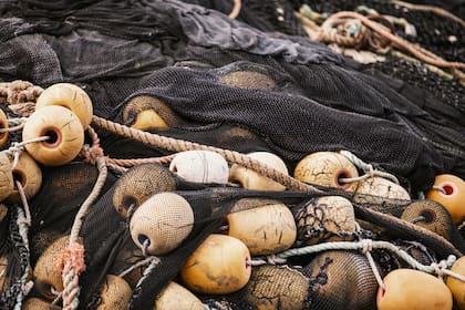 En 2022 Bureo y Patagonia evitaron que un total de 334 toneladas métricas de redes de pesca desechadas terminaran como basura en el océano.