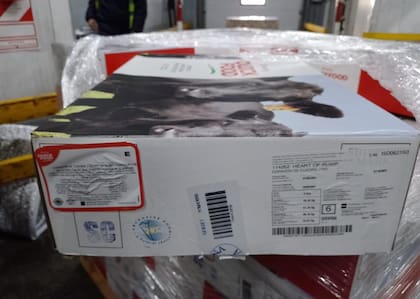 En 2023, la Argentina exportó 49.000 toneladas de carne bovina a la Unión Europea por un total de US$479 millones, siendo el segundo destino de exportación detrás de China