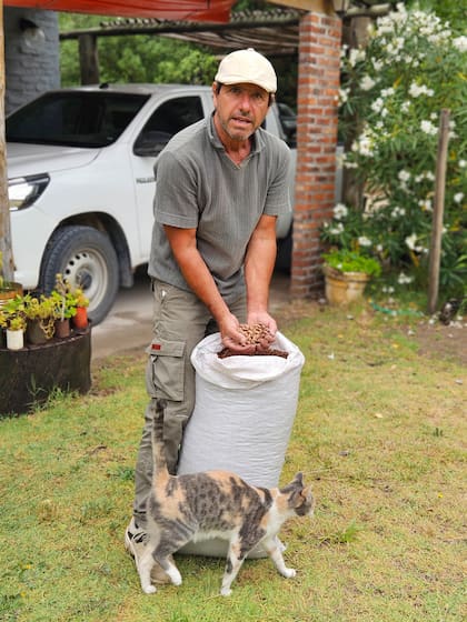 En 2023 logró concretar el primer envío: 6.000 kilos de piñón con cáscara a España. Se repitió en 2024 y en 2025.