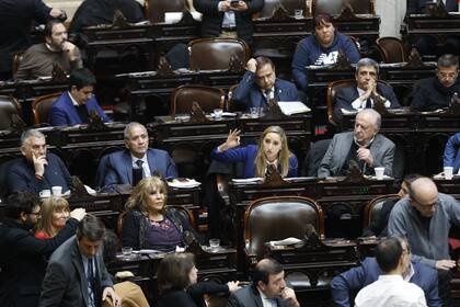 En 2024, la oposición logró aprobar una ley jubilatoria, que luego fue vetada por el presidente Milei