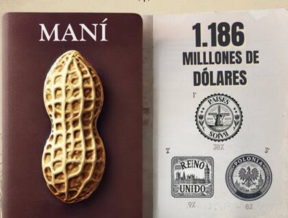 En 2024, los principales cinco compradores de las exportaciones argentinas del complejo maní fueron Países Bajos (36%), Reino Unido (9%), Polonia (6%), Rusia (6%) y Australia (4%), de acuerdo con datos del Indec