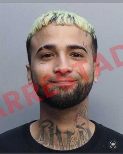 En 2024, Ovi fue detenido bajo varios cargos y luego de su liberación fue retenido por 48 horas por el ICE