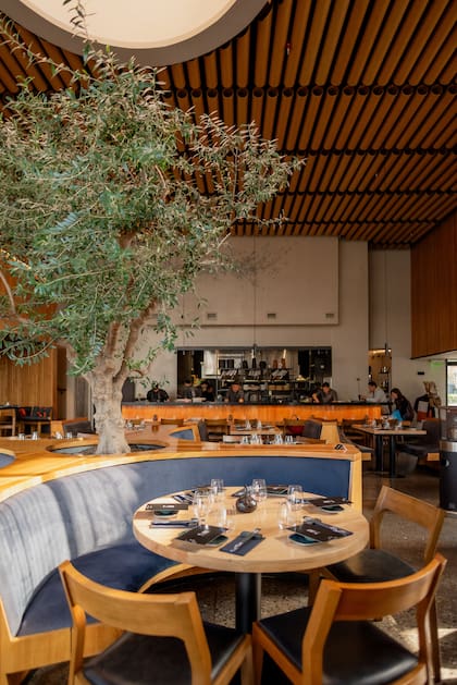 En 2025 ingresó con el puesto 100 en el ranking 51-100 de los Latin America’s 50 Best Restaurants