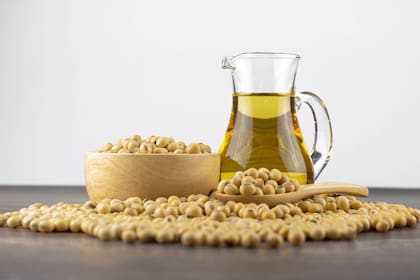 En 2025, las importaciones indias de aceite de soja y girasol alcanzaron un récord de 8,35 millones de toneladas, casi un 50% más que el promedio de la última década, según la BCR