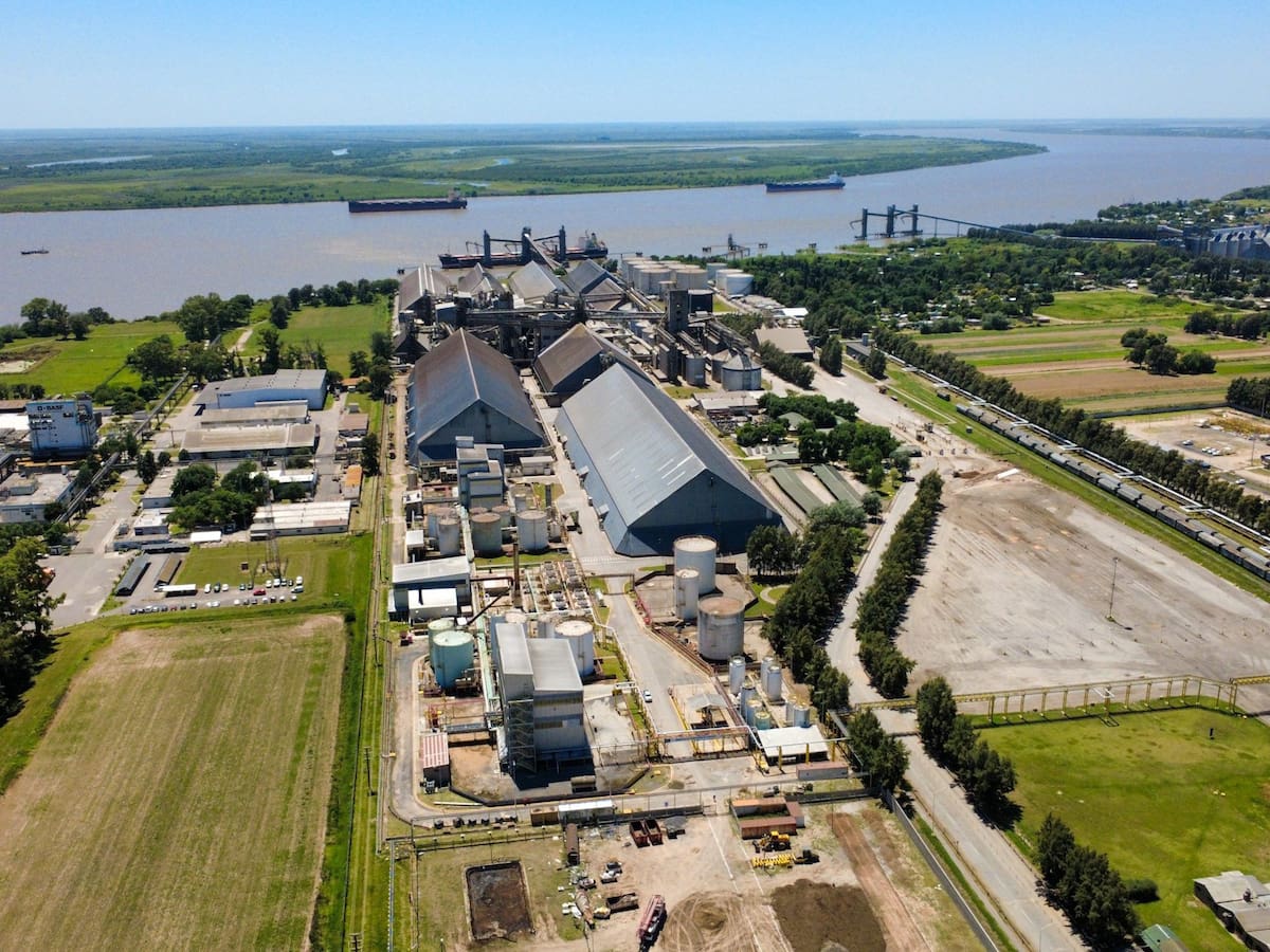 Dez exportadores detinham 90,5% das vendas de grãos ao exterior