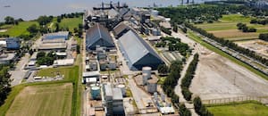 Diez exportadores se quedaron con el 90,5% de la venta al exterior de granos de 2025