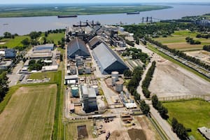 Diez exportadores se quedaron con el 90,5% de la venta al exterior de granos