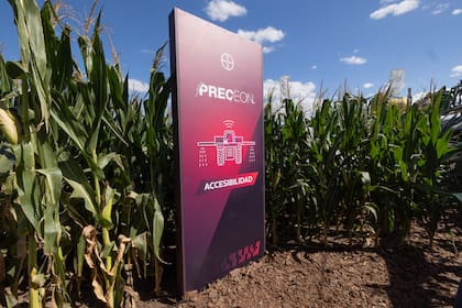 En 2026 se lanzará a un número reducido de productores y su adopción comercial se ampliará progresivamente en las próximas campañas.