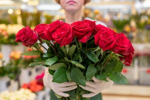Regalar rosas por San Valentín te costará menos que el promedio nacional