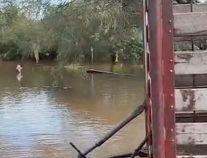 "En 40 años no se recuerda algo así. Si bien en esta época puede haber lluvias, no de esta magnitud”, subrayó el presidente de la Sociedad Rural local