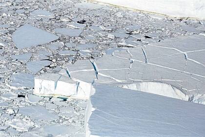 En 50 años, la temperatura en la Antártida subió 3°C 