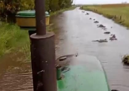 En 9 de Julio, la cosecha avanza muy por debajo de lo habitual, afectada por el exceso de agua y el deterioro de los caminos