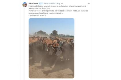 En 9 de Julio, provincia de Buenos Aires, la falta de precipitaciones comenzó a generar preocupación entre los productores agropecuarios