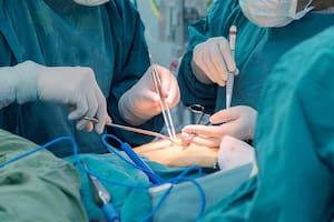 La Justicia excluyó a un paciente extranjero de la lista de espera de trasplante de órganos del Incucai