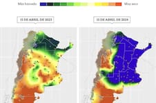 “Agravan la situación”: reportan importantes pérdidas en la recta final de la campaña agrícola