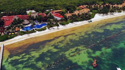 En algunas zonas la presencia de sargazo es menor, en parte por las barreras que colocan los hoteles mar adentro.