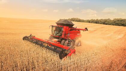 En algunos casos, las devoluciones fueron aprobadas y procesadas en el sistema, pero los pagos no se concretaron, lo que genera incertidumbre entre los productores.