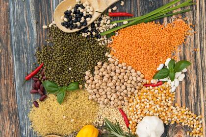 En algunos granos y semillas, los antinutrientes permiten que puedan nacer las plantas pese a ser consumidas por los animales