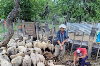 Tres lugares combinan con éxito producción y turismo rural abiertos al público