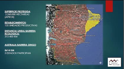 En amarillo el clúster previsto que contendrá más de 100 estancias en el nordeste de Santa Cruz