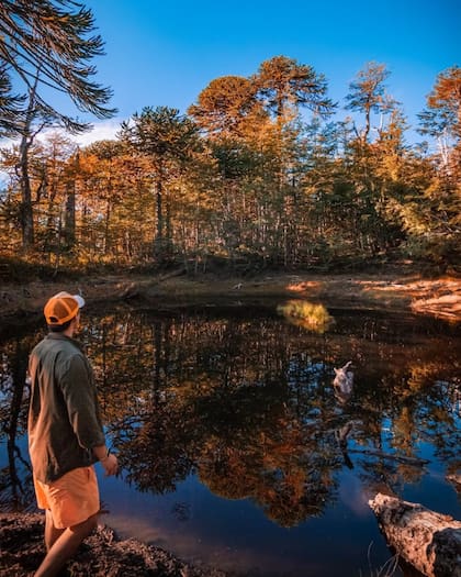 En América Latina, Chile es considerado el país más seguro para atravesar un conflicto bélico de magnitud mundial