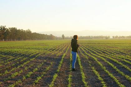En América Latina y el Caribe viven 58 millones de mujeres rurales