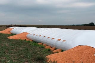 Impulsan fuertes penas para quienes ataquen silobolsas y otros bienes