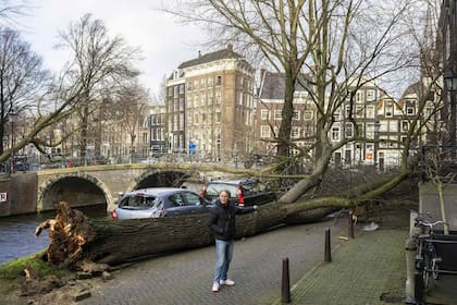 En Ámsterdam, la caída de árboles generó problemas de tránsito
