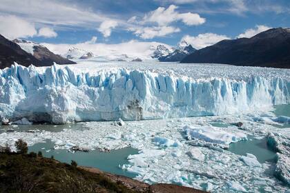 En Argentina el derecho a un ambiente sano está reconocido por el artículo 41 de nuestra Constitución - Gentileza: Aves Argentinas