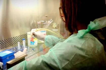 En Argentina hay escasez de trabajadores de la salud y lo mismo ocurre en todo el mundo, según la OMS; las universidades lanzan nuevas carreras de grado para dar respuesta al aumento en la expectativa de vida de las sociedades