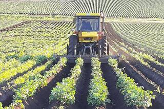El duro momento, los números en rojo y el miedo que acecha a quienes hacen un alimento básico