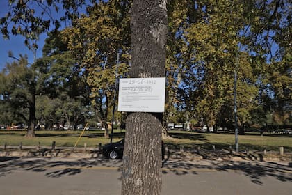 Algunos árboles que se encuentran fuera del perímetro de la obra tienen carteles que avisan a la comunidad que serán extraídos, aunque con fecha vencida