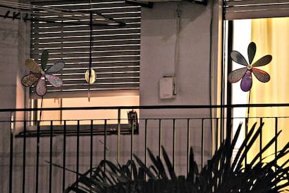 En Ayacucho al 1300, soluciones caseras para ahuyentarlas