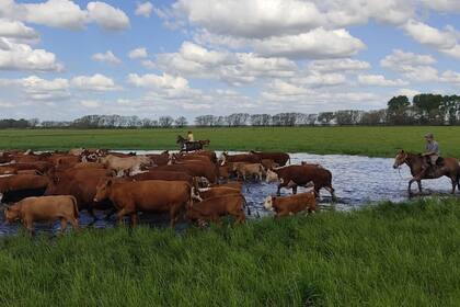 En Azul hay alerta por la mayor carga tributaria para el campo
