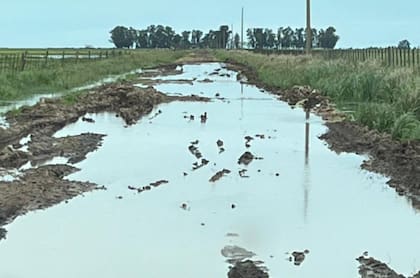 En Azul, hay alrededor de 1800 kilómetros de caminos rurales, entre provinciales y municipales: “No debemos llegar al 10% que esté transitable. O sea, el 90% está en mal estado e intransitable. Hay caminos puntuales por los que ya no pasa ni un tractor, a ese nivel se está”