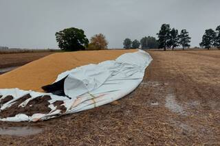 “Creen que uno está lleno de oro”: la angustia de un productor tras un ataque