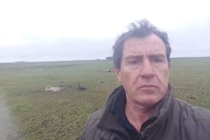 La desesperación de un productor que en cinco meses sufrió el robo de ganado por más de $20 millones