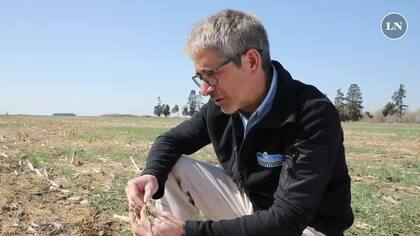 En Bigand, en el sur de Santa Fe, también es crítica la situación por la sequía