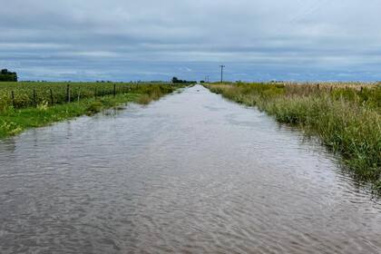 En Bigand, Santa Fe, así está el ingreso al campo de José Luis Roca