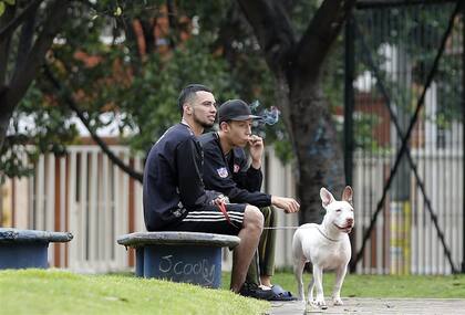 En Bogotá, los propietarios de un pit bull ahora deben contratar un seguro