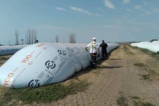 La AFIP informó que desarticuló nuevas millonarias maniobras con granos